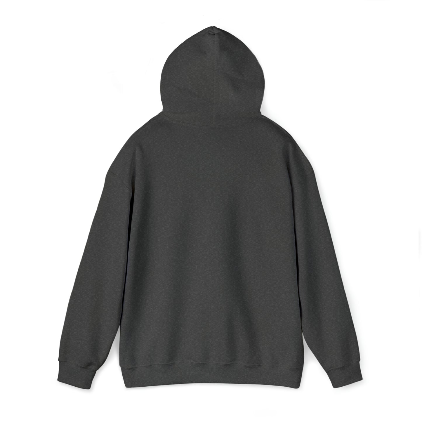 Sports are in My DNA Classic Hoodie