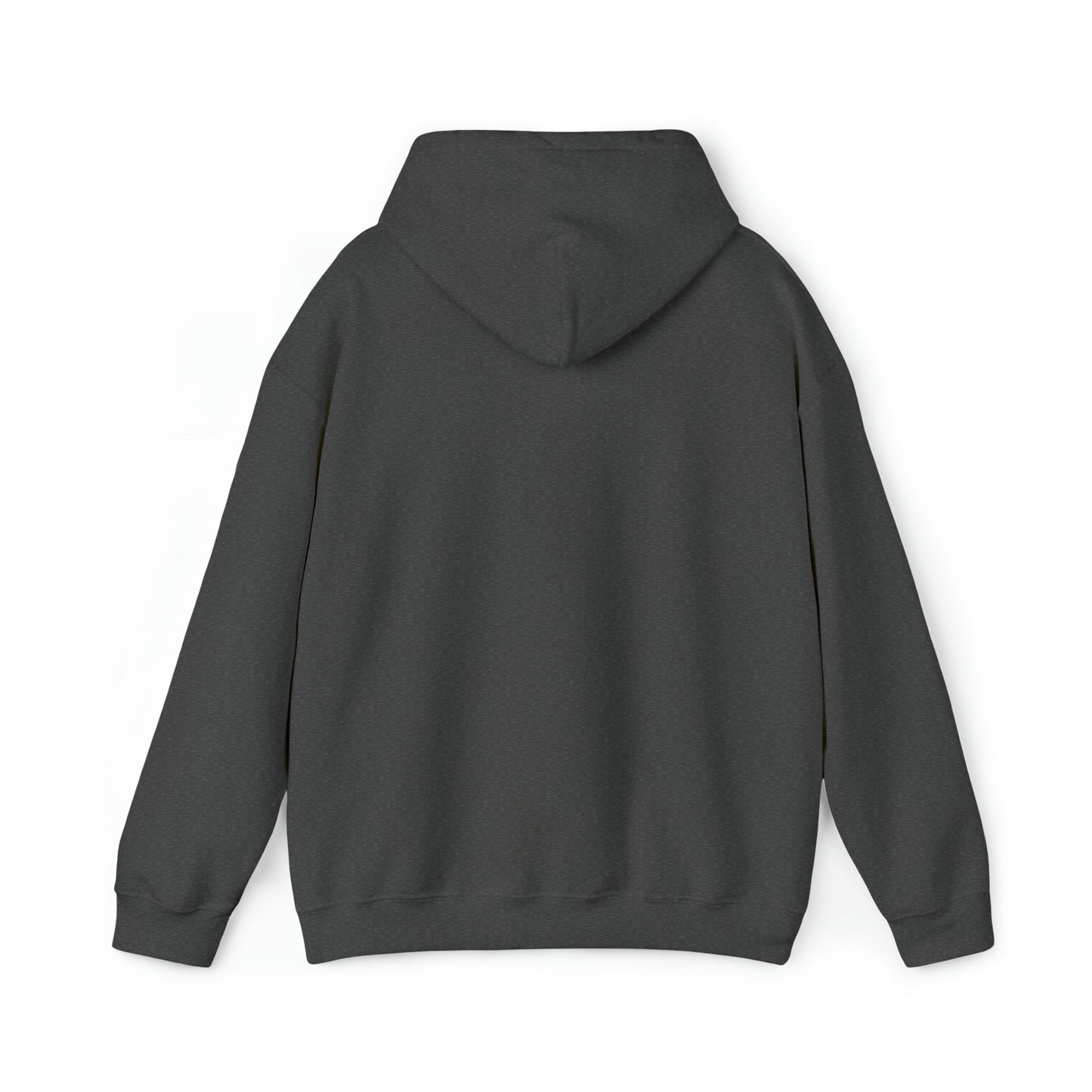 Sports are in My DNA Classic Hoodie